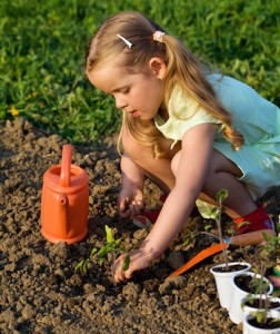 Gardening